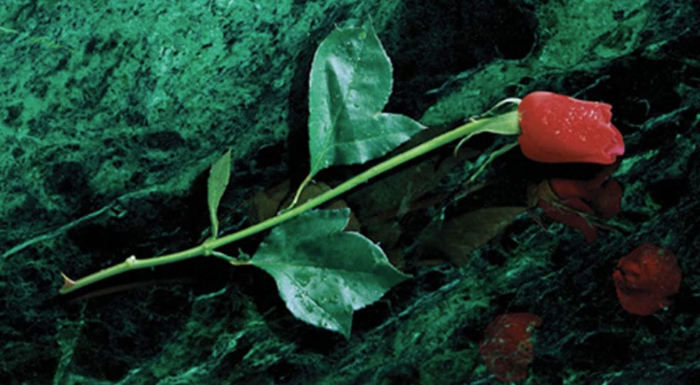 Vampiro: La Mascarada para principiantes